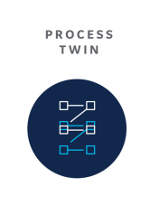 Process twin